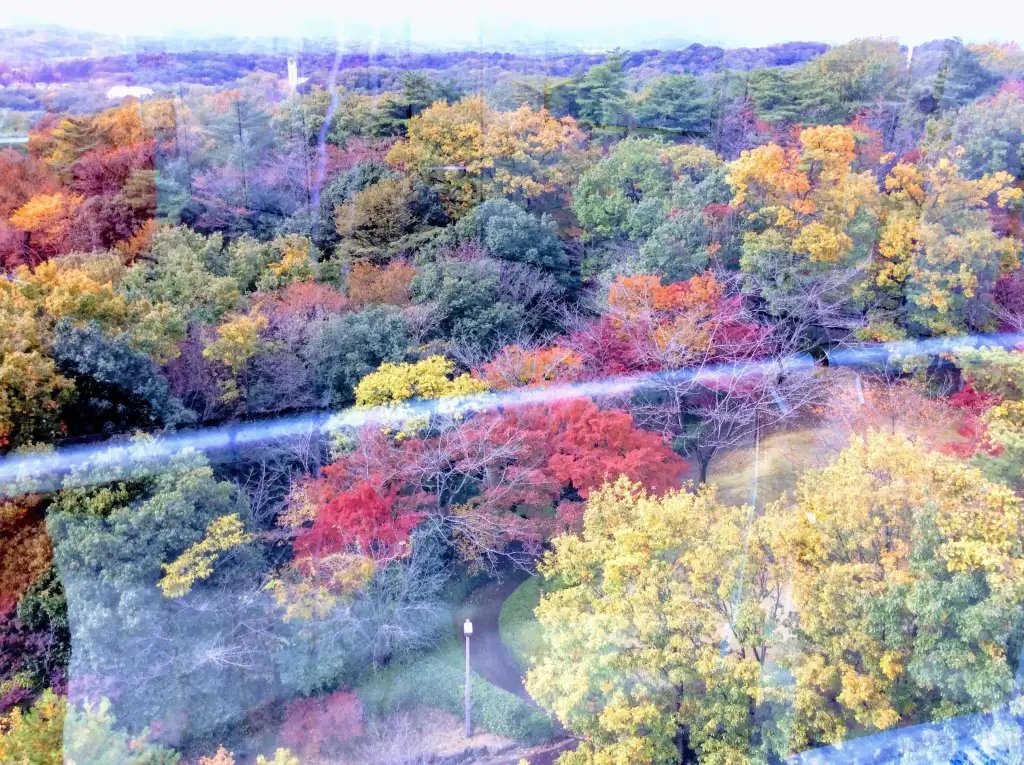 🕊️ 사이타마 평화 박물관 (사이타마 피스 뮤지아무) 이미지 7